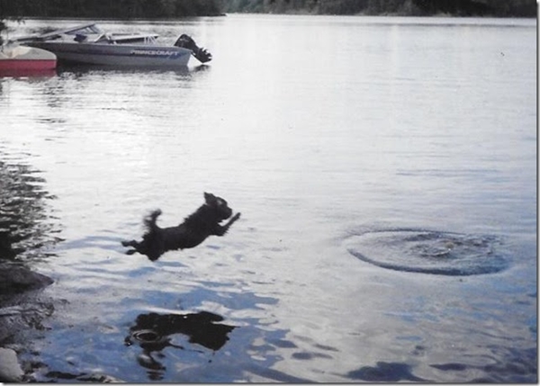 KETO DIVING 2.jpg