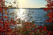 155. Thanksgiving Afternoon! (Gail Dobby)
