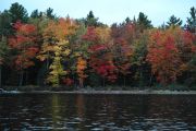 Autumns_Palette.jpg