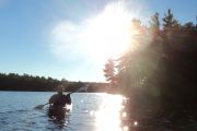 September morning on the Skoot (Joanne Volpe)