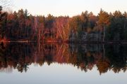 140. Late Fall Reflection (Adam Schiefer)