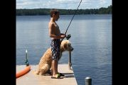 59.  'A Boy and His Dog'