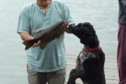 Sisko and the bass (Mike Davis)
