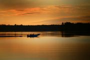 35. GOING FISHING (Don Bailey)