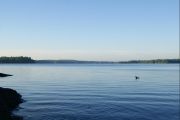 5. Early morning on the North shore (Anders Holder)
