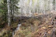 P1010642_n.jpg
