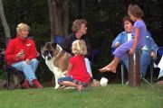 contest judges