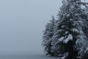 63.  'Early Winter'