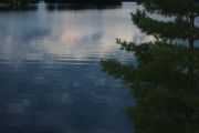 16. Solitude (L. Cole)