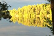 10. Pringle Lake (Bonnie Mullen)