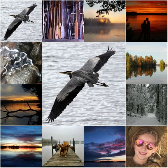 2017 Photo Contest Collage.jpg
