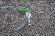DSCF3534.JPG