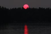 135. Sunset (Tricia)