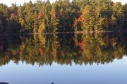 109. Skoot Fall Colors (Don Stafford)