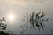 10. Skootamata Sunrise (Lesley Kimble)