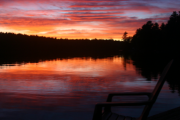55. Thanksgiving Weekend (Jane Ludolph)