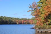 Fall Colours (Sue Miller)