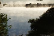 September Morning (Marian White)