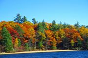 75. Beauty of Fall (Jason Field)