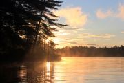 Mist on the Lake (Sue Miller)