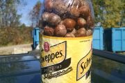 36. How many acorns can a chipmunk store if a chipmunk could store acorns... in a Schweppes bottle? (Christy Goodale)
