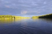 5. Evening fish (Wim)