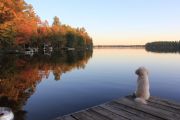 Taking in the view (Sue Miller)