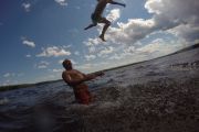 116. Flying high! (Alexis Koehler)