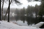 91. Winter frost (Penny Wall)