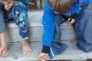 92. Feeding Alvin (John Redden)