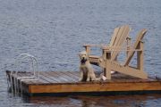 Bailey on the raft! (Daphne Williams)
