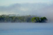 150. Foggy Morning (Jason Field)