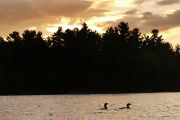 32. NICE SUNSET EH? (Don Bailey)