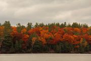 89. Fall has arrived (Jason Field)