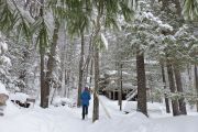 53. Winter Wonderland (Sonja Unger)