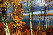 113. Lake Vista (Judith Coulter)