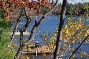 Thanksgiving at the cottage (Daphne Williams)