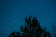73. Starry Night (Tyler Dearden)