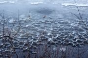 121. FrozenLake (Adam Schiefer)