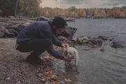 65.  'Companions'