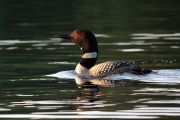 IMG_2848N.jpg