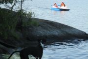 33.  'Fun On The Dock'