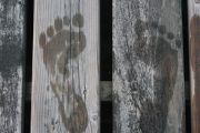 53. Summer's Footprints (Rachel Cumming)