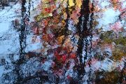 16. Swamp Reflections 2 (Judith Coulter)