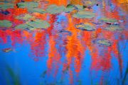 58. Lilypad Pond Revisited (Judith Coulter)