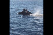 40. When All Else Fails (Diane Hering)