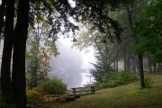 71. Morning mist (Penny Wall)
