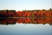 13. Fall Colours (Theresa)
