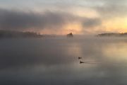 98. Greeting a new day (Linda Dzelme)