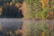 38. Fall colours (Nienke Smith)